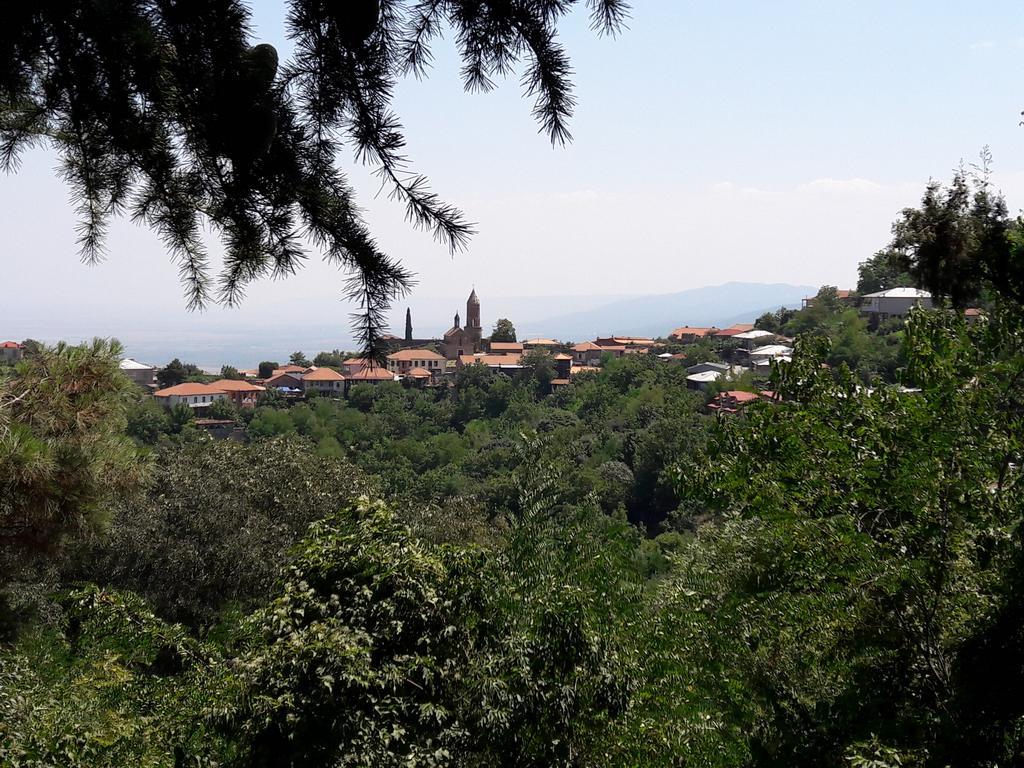 Goga Guesthouse Sighnaghi Exterior photo
